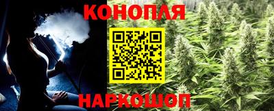 каннабис Новозыбков