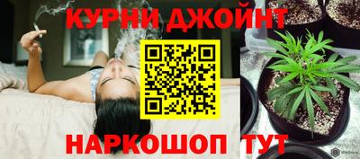 каннабис Новозыбков