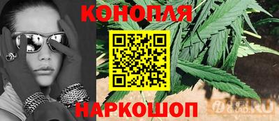 соль ск Новодвинск