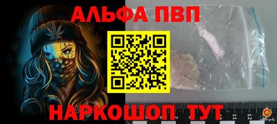 соль ск Новодвинск