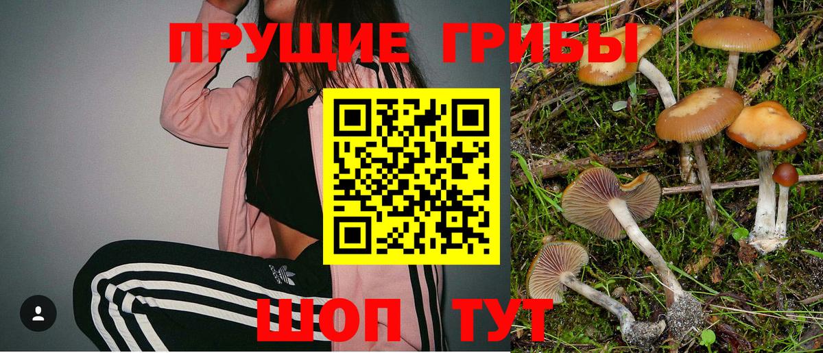 Галлюциногенные грибы прущие грибы Тольятти