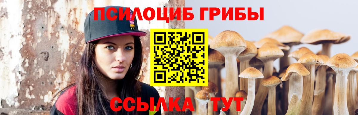 Тольятти  Псилоцибиновые грибы Cubensis  хочу наркоту  Вход с VPN 